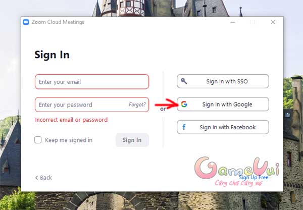Sign In with Google