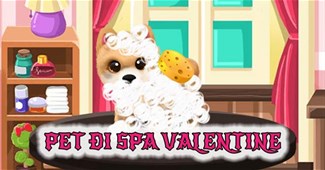 Pet đi Spa Valentine