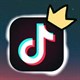 2 cách tải, download video TikTok không dính logo, ID hoặc hình mờ watermark