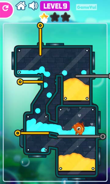 Giải cứu cá vàng thành công