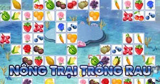 Nông trại trồng rau