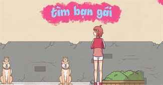 Tìm bạn