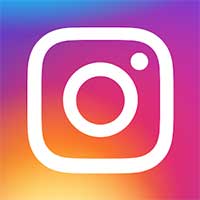 Instagram là gì? Cách sử dụng cơ bản của Instagram