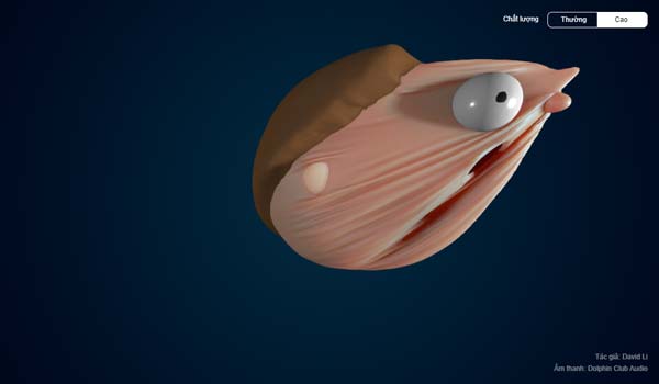 Tạo ra các hình vui nhộn