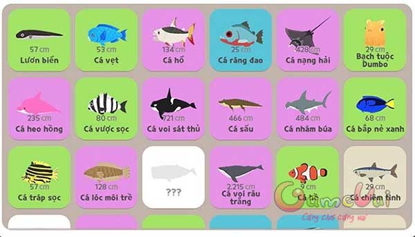 Bảng cá hiếm Play Together