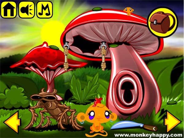 Cây nấm khổng lồ này có chứa bí mật gì?