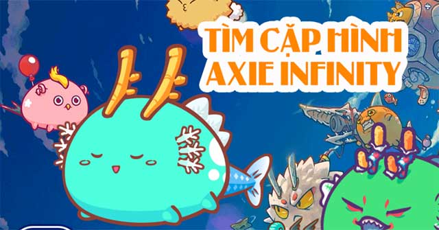 Tìm cặp hình Axie Infinity