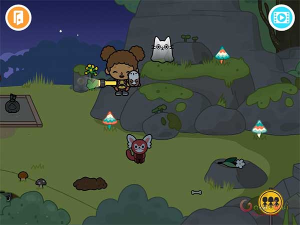 Tiết lộ bí mật về những cây nấm bí ẩn