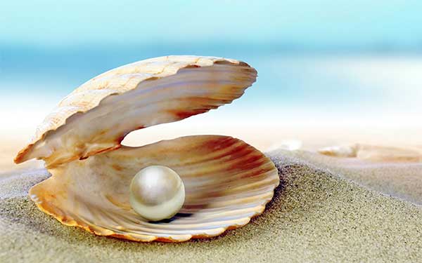 Câu đố vui ngày 8/3