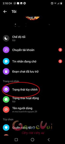 Trạng thái tùy chỉnh