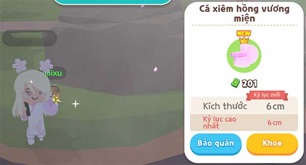 Giới thiệu cá Xiêm Hồng