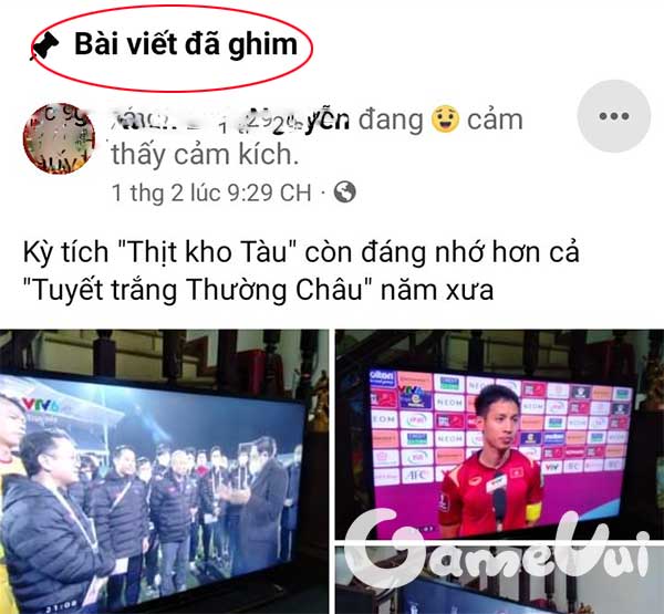 Bài viết đã ghim