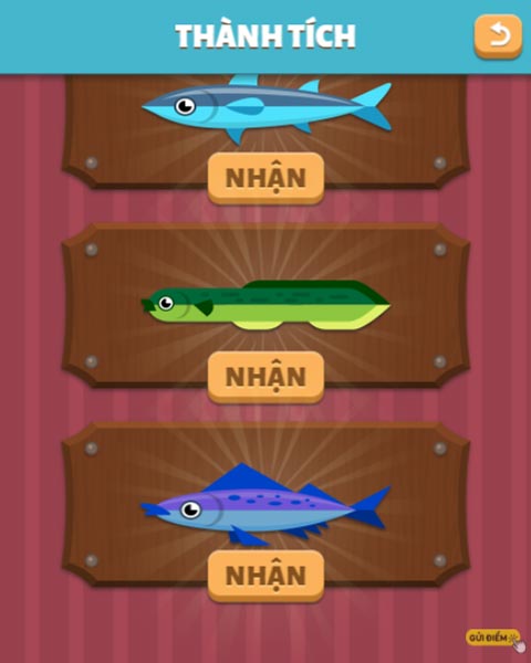 Các loại cá quý hiếm luôn là mục tiêu săn đuổi của người câu cá