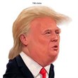 Donald Trump bầu cử