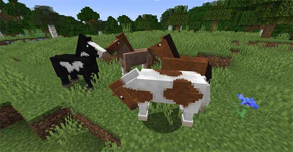 Nuôi ngựa trong Minecraft