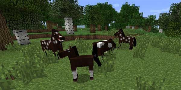 Nuôi ngựa trong Minecraft
