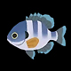Cá Bluegill