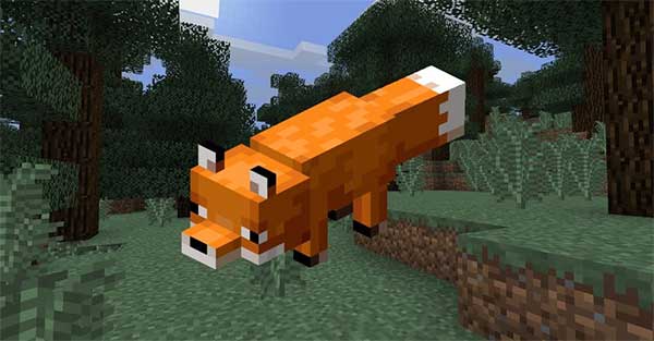 Thuần hóa cáo Minecraft