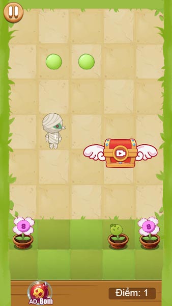 Sắp xếp và đặt vị trí của cây