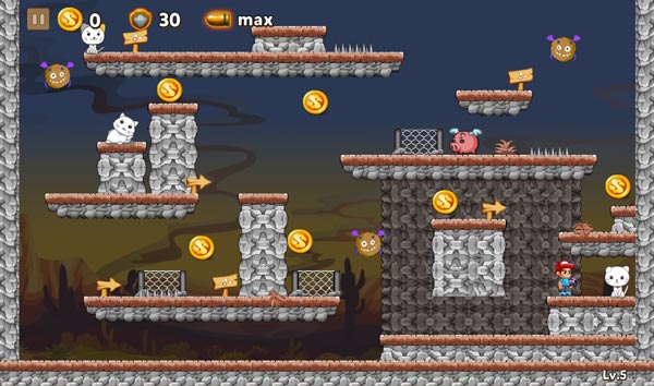 Giải cứu những chú mèo con màu trắng