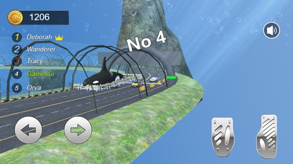 Cố gắng về đích và đạt thứ hạng cao