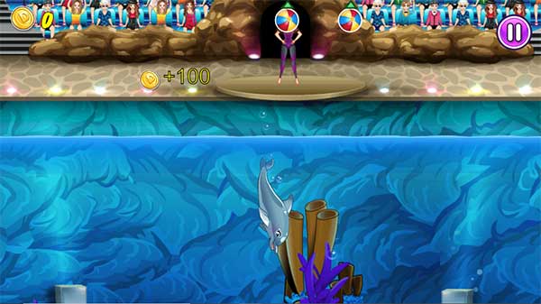 Điều khiển cá heo diễn xiếc