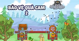 Bảo vệ quả cam 2