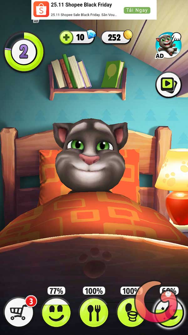 Tắt đèn để mèo Tom ngủ