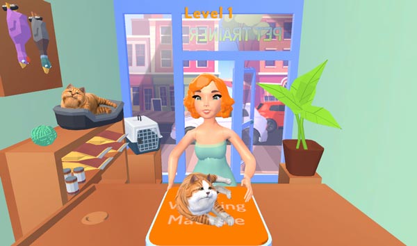 Nhận thú cưng mèo từ phía khách hàng