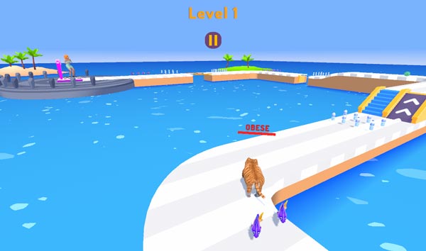 Ăn cá hoặc tránh khỏi thức ăn để giảm cân?