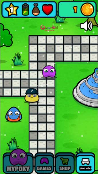 Giao lưu với thú cưng khác