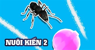 Nuôi kiến 2