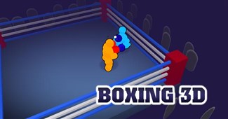 Boxing 3d