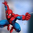 Spider Man chiến đấu