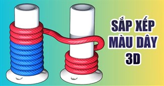Sắp xếp màu dây 3d