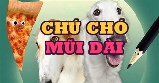 Chú chó mũi dài