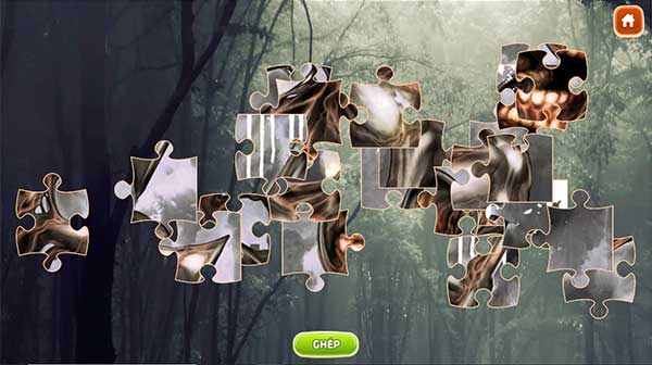 Sắp xếp các miếng ghép