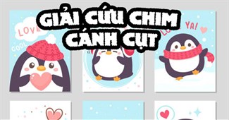 Giải cứu chim cánh cụt