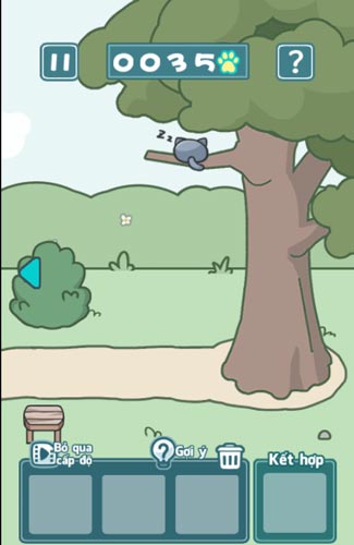 Chú mèo con tinh nghịch ở đâu nhỉ?