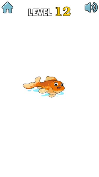 Tưởng tượng ra chú cá vàng này sẽ cần thứ gì?