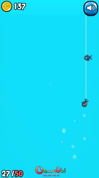 Hãy cố gắng câu được nhiều cá nhất có thể