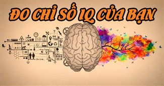 Đo chỉ số IQ của bạn