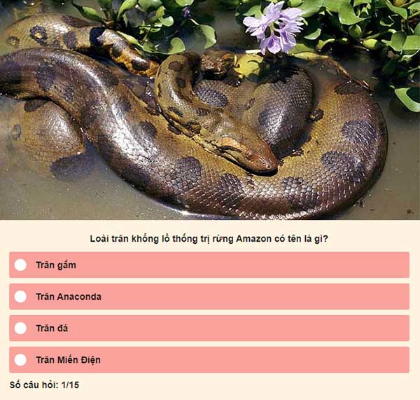 Chọn đáp án đúng