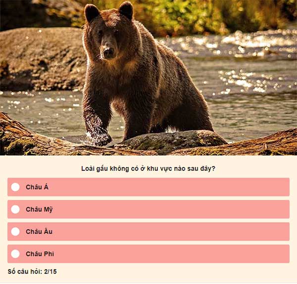 Chọn đáp án đúng