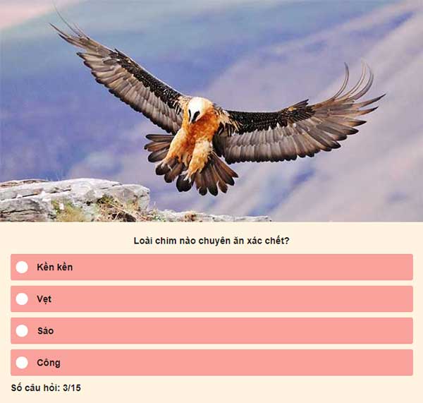 Chọn đáp án đúng