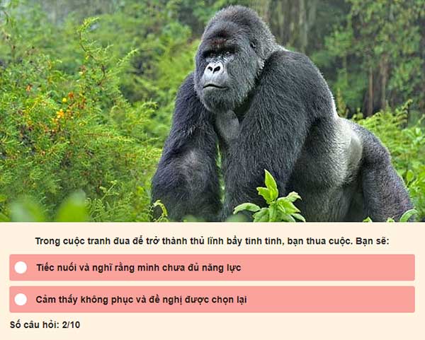 Chọn đáp án của bạn