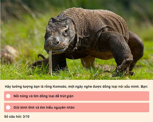 Chọn đáp án của bạn