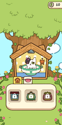 Xây phòng tắm cho chú mèo con.