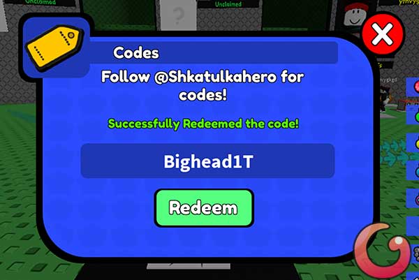 Succesfully Redeem the code