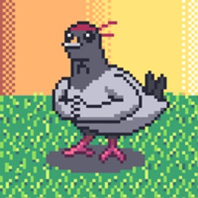 Bird cuồng chiến